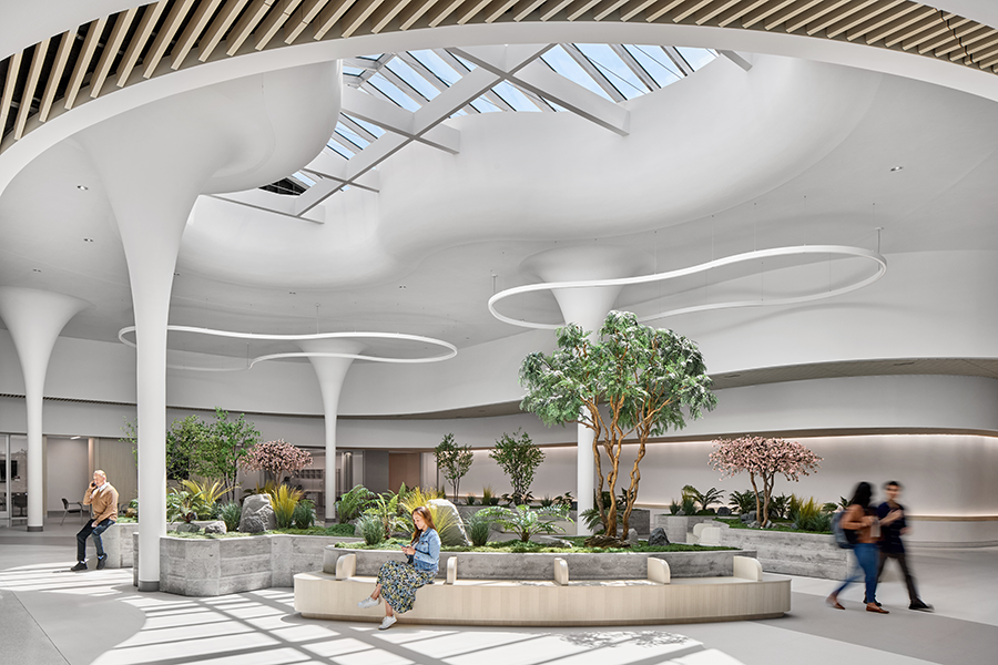 02NEMS_0020_000_NEMS_PACE_Center_San_Jose_CA_N52