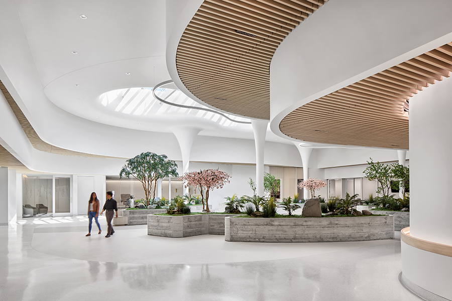02NEMS_0020_000_NEMS_PACE_Center_San_Jose_CA_N59