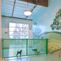 pet care and animal facility construction